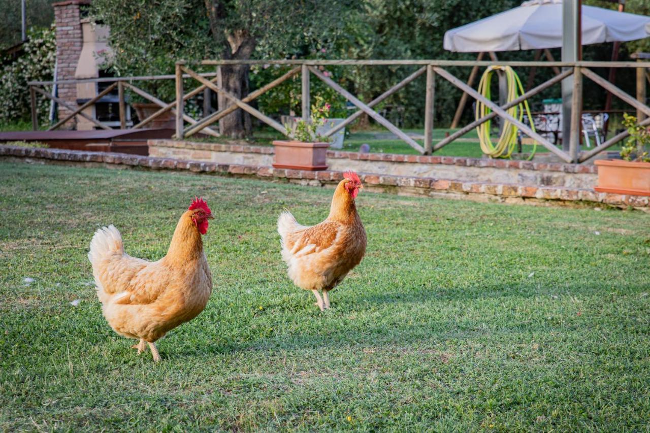 شقة Fontemaggio كولّي فال ديلسا المظهر الخارجي الصورة